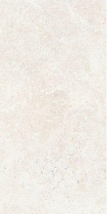 OL Limestone Avorio Matte 12 x 24